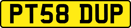 PT58DUP