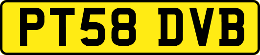 PT58DVB