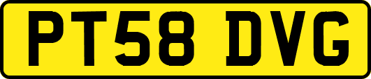PT58DVG