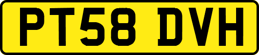 PT58DVH