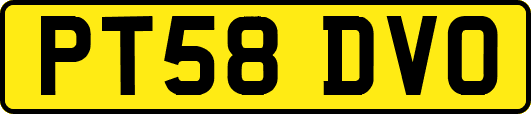 PT58DVO