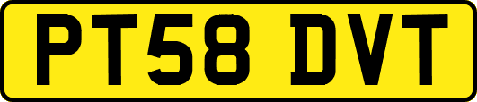 PT58DVT