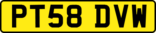 PT58DVW