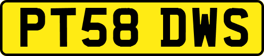 PT58DWS