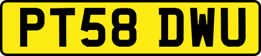 PT58DWU
