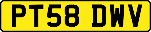 PT58DWV