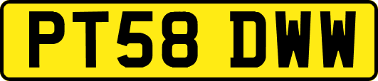 PT58DWW