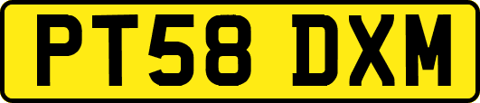 PT58DXM