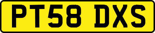PT58DXS