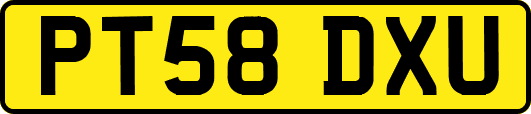PT58DXU