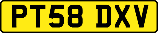 PT58DXV