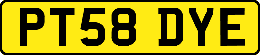 PT58DYE