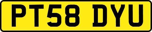 PT58DYU