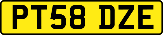 PT58DZE
