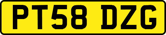 PT58DZG