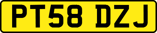PT58DZJ