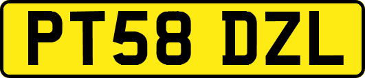 PT58DZL