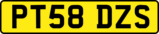 PT58DZS
