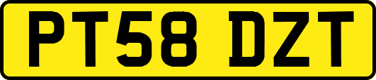 PT58DZT