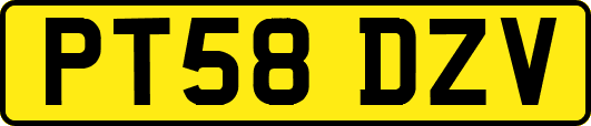 PT58DZV