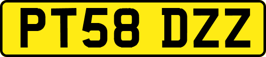 PT58DZZ