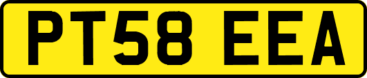 PT58EEA
