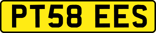 PT58EES