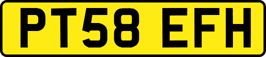 PT58EFH