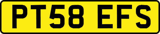 PT58EFS