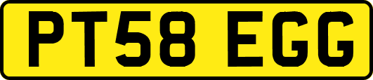 PT58EGG