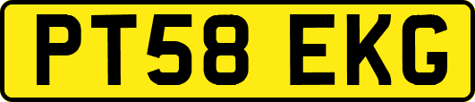 PT58EKG