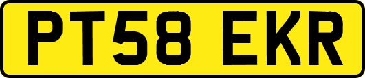 PT58EKR