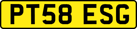 PT58ESG