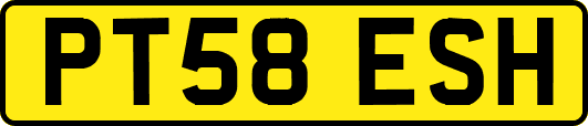 PT58ESH