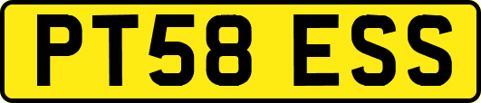 PT58ESS