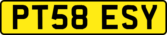 PT58ESY