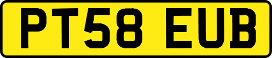 PT58EUB