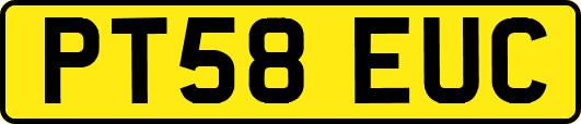 PT58EUC