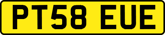 PT58EUE