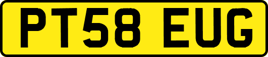 PT58EUG