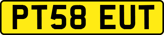 PT58EUT