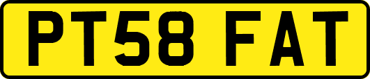 PT58FAT