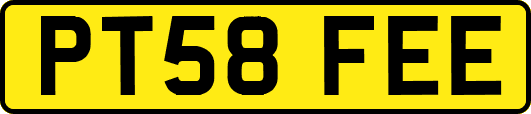 PT58FEE
