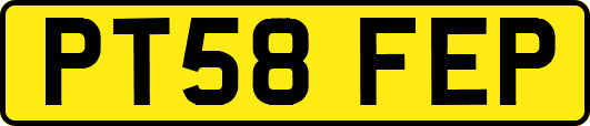 PT58FEP