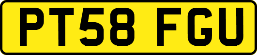 PT58FGU