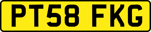 PT58FKG