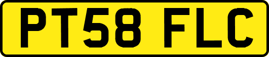 PT58FLC
