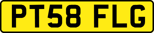 PT58FLG