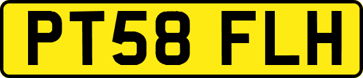 PT58FLH