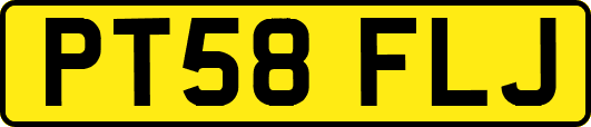PT58FLJ